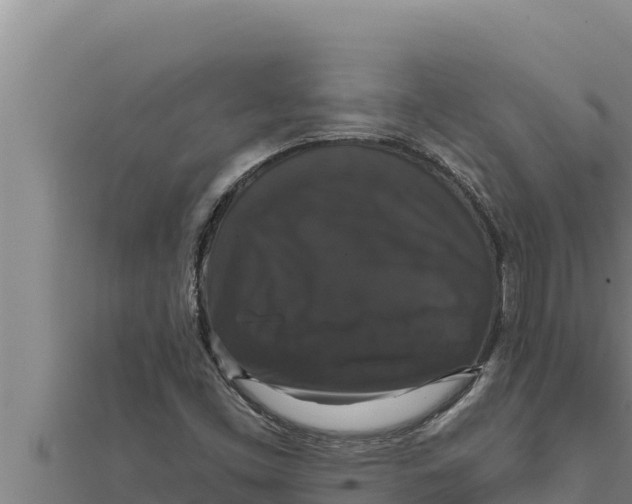 X0000111521453200908041233