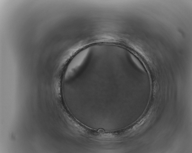 X0000111521455200908041233