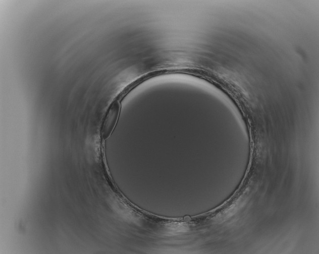 X0000111521457200908041233