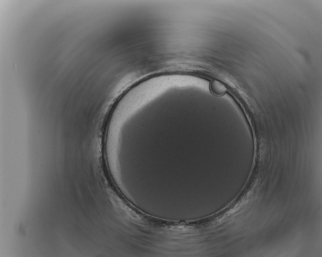 X0000111521459200908041233