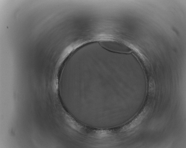 X0000111521461200908041233