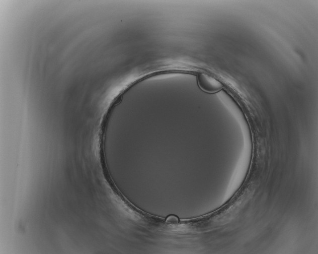 X0000111521463200908041233