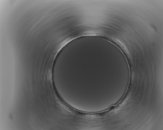 X0000111521465200908041233