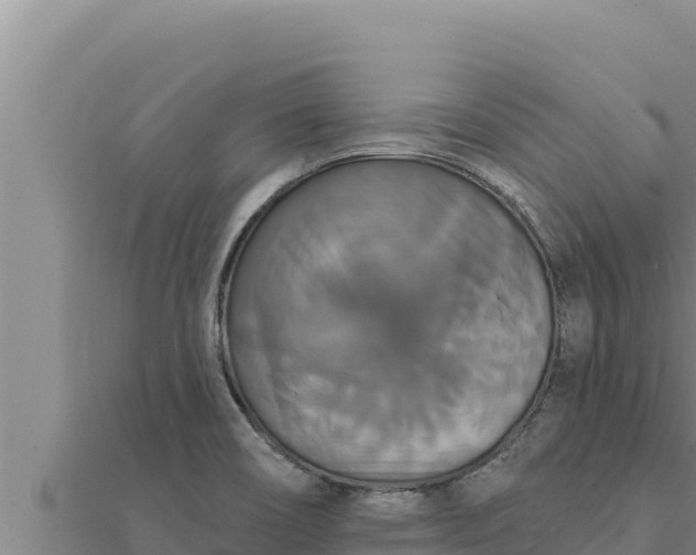 X0000111521466200908041233