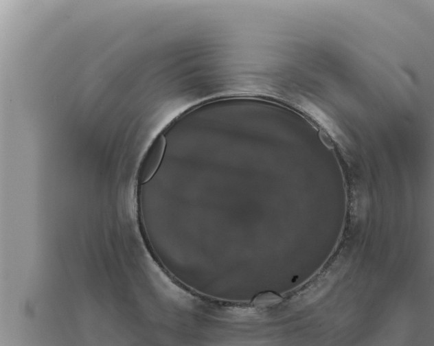 X0000111521468200908041233
