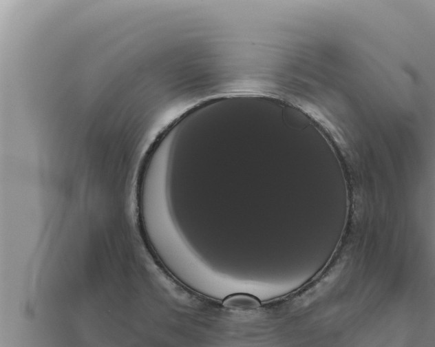 X0000111521469200908041233