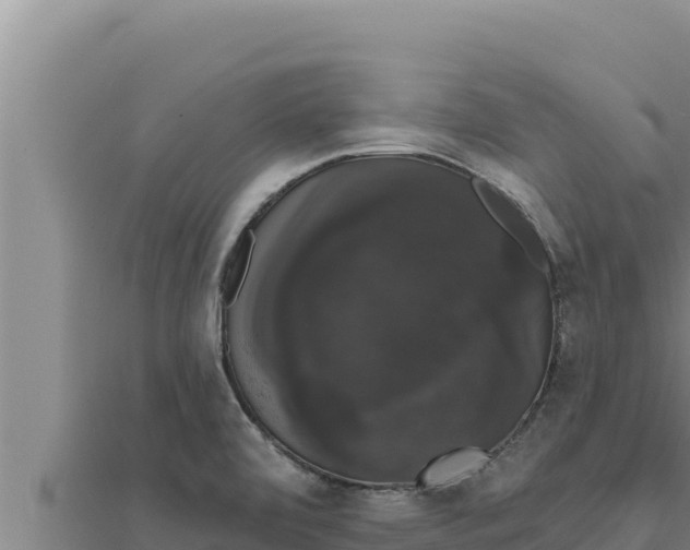 X0000111521472200908041233