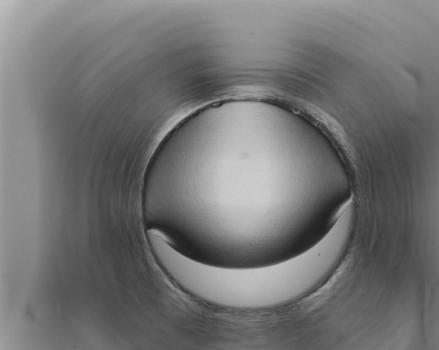 X0000111521473200908041233