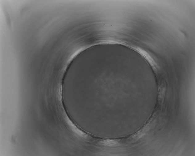 X0000111521476200908041233