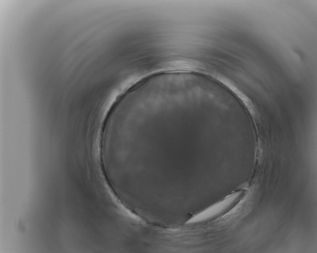 X0000111521477200908041233