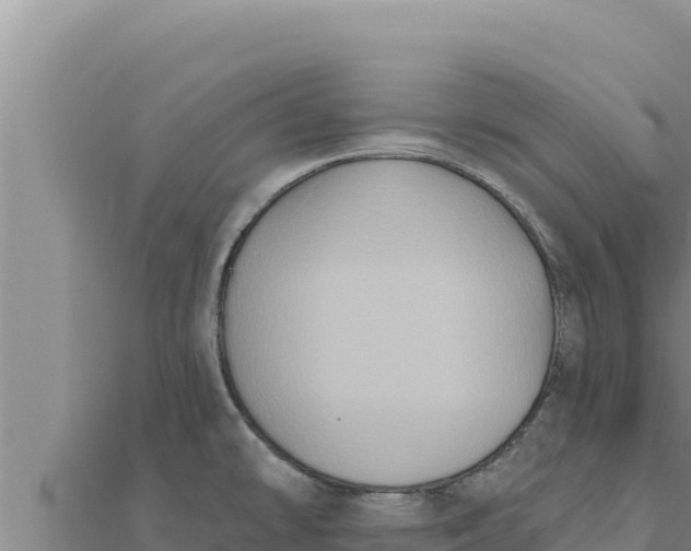 X0000111521478200908041233