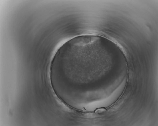 X0000111521480200908041233