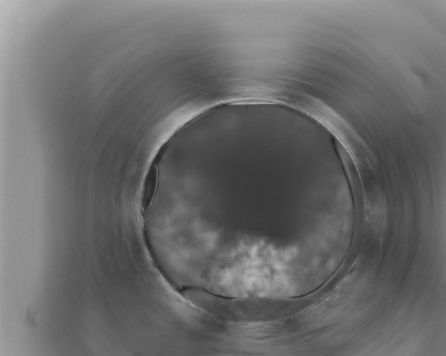 X0000111521485200908041233
