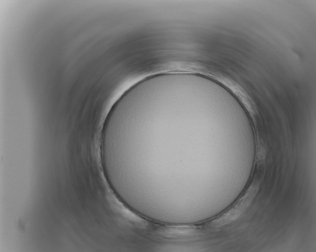 X0000111521486200908041233