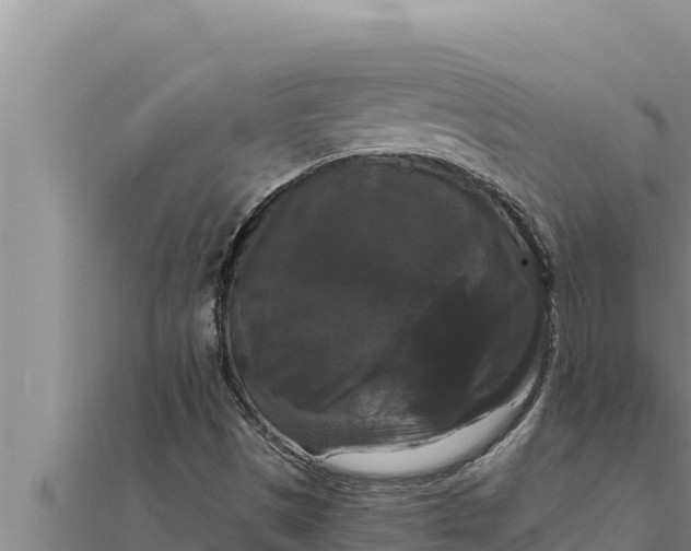 X0000111521497200908041232