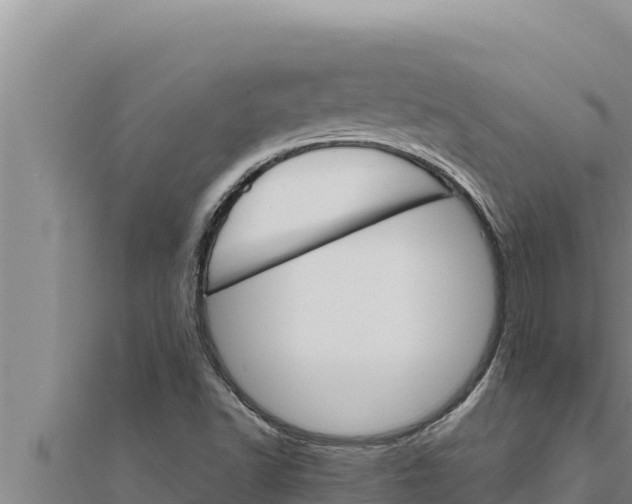 X0000111521502200908041233