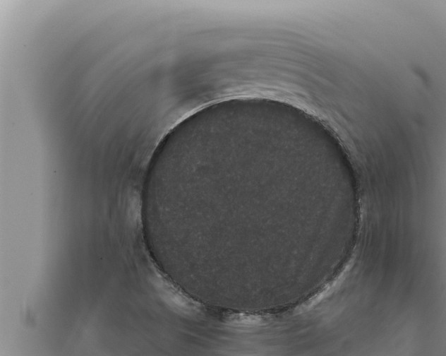 X0000111521505200908041233