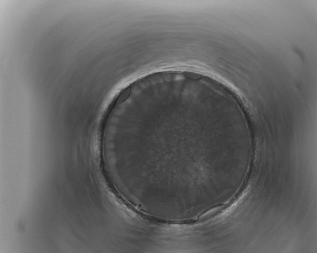 X0000111521506200908041233