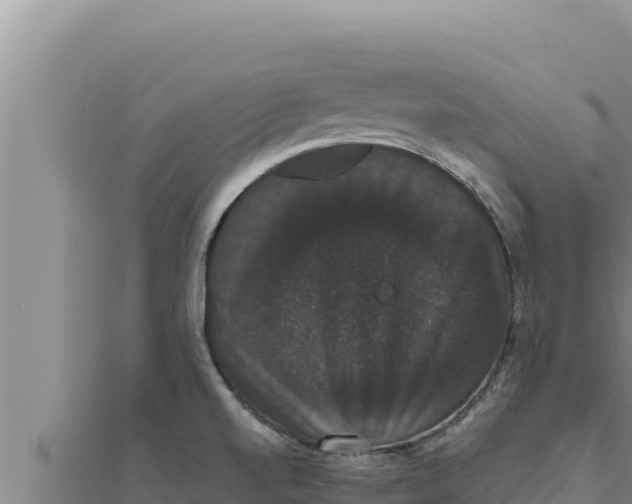 X0000111521520200908041233