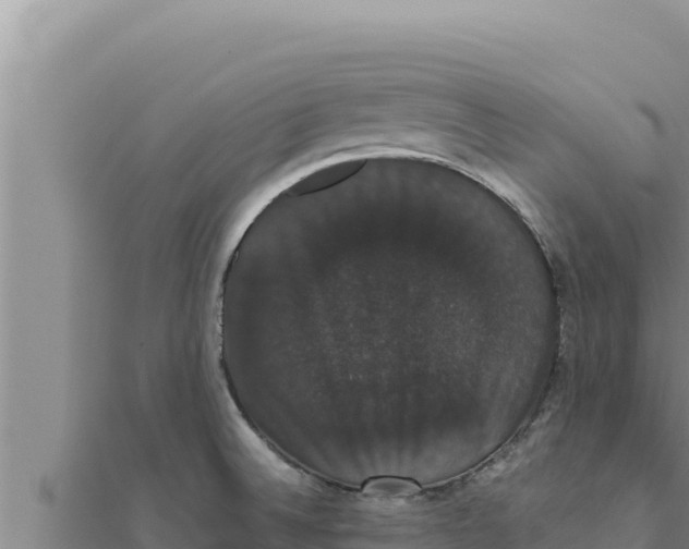 X0000111521524200908041233