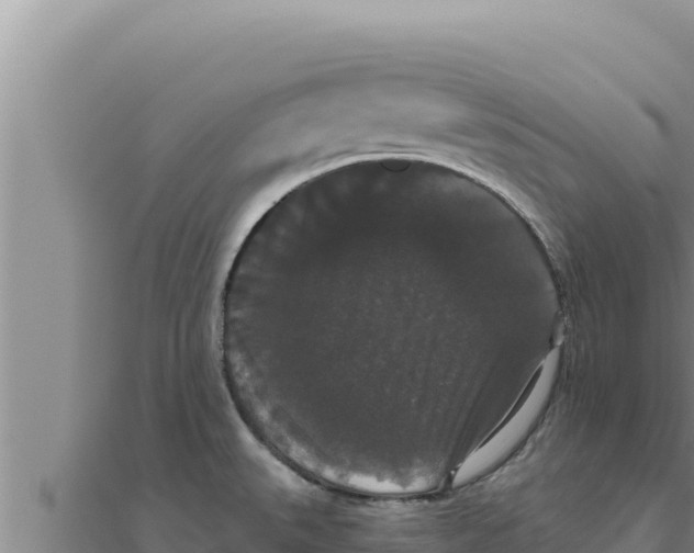 X0000111521527200908041233