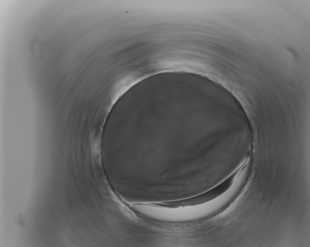 X0000111521529200908041233