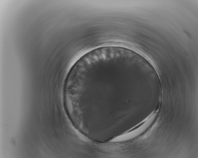 X0000111521533200908041233