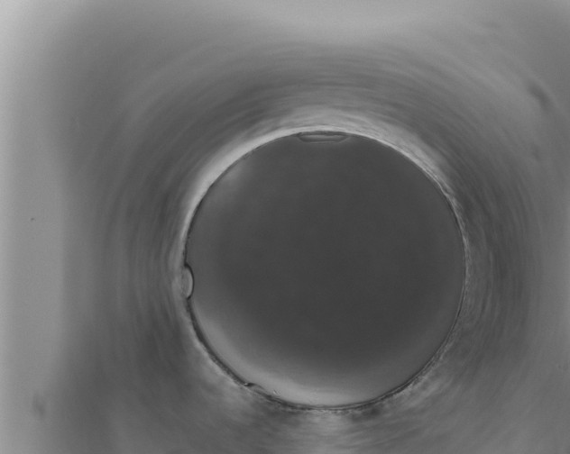 X0000111521536200908041233
