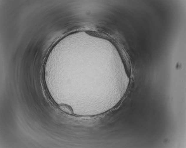 X0000111520001200908111213