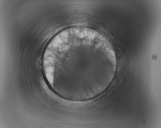 X0000111520002200908111213