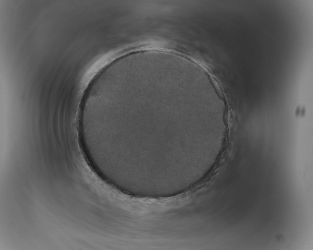 X0000111520007200908111213
