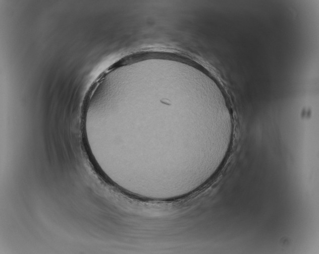 X0000111520008200908111213