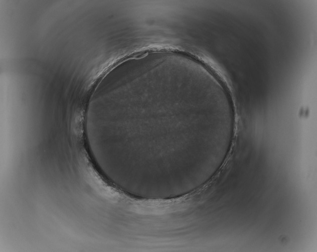 X0000111520009200908111213