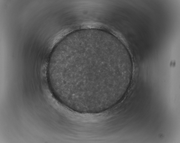 X0000111520010200908111213