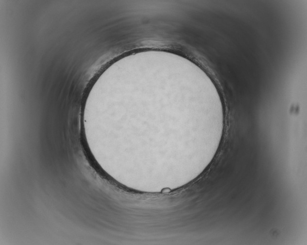X0000111520011200908111213
