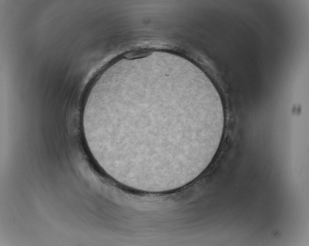 X0000111520012200908111213