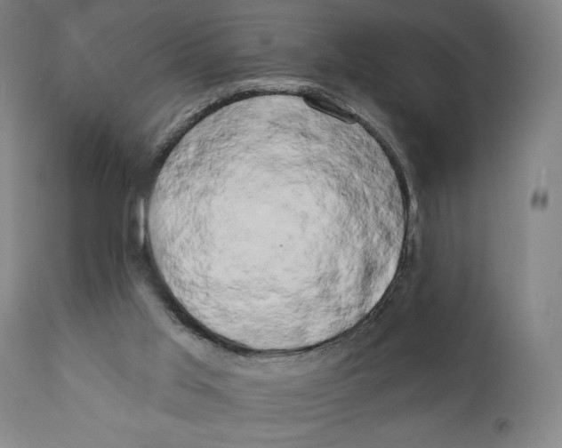 X0000111520013200908111213