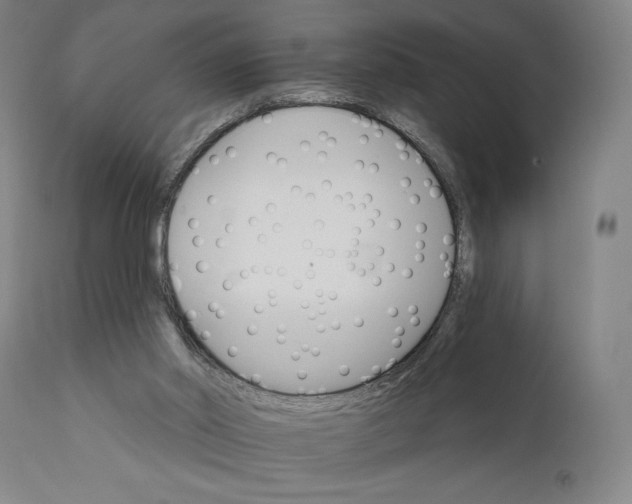 X0000111520014200908111213