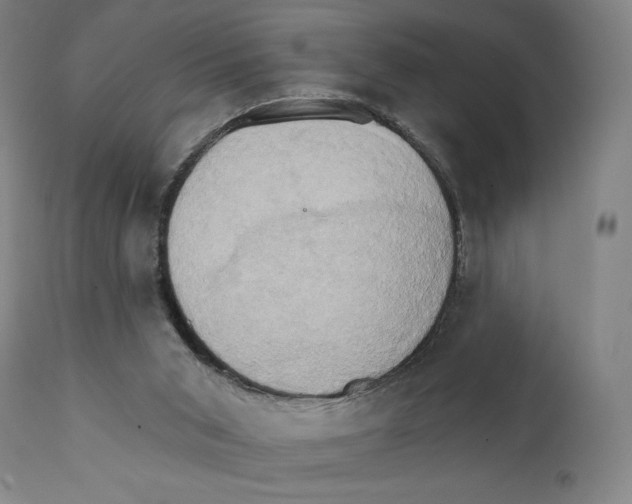 X0000111520015200908111213