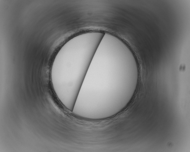 X0000111520016200908111213