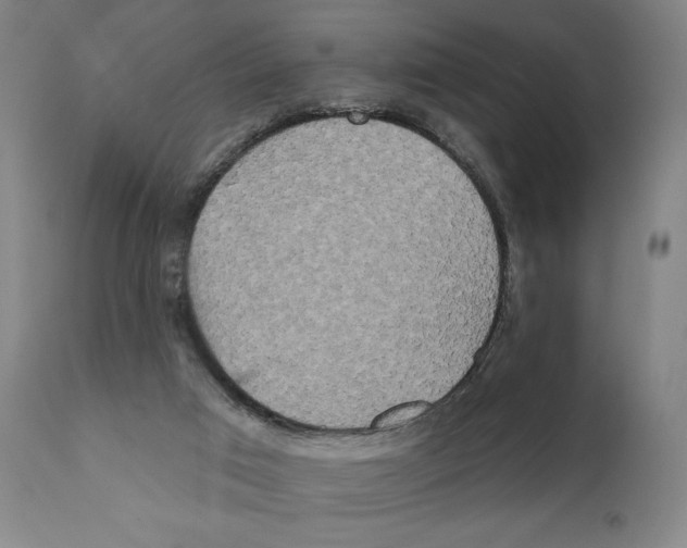 X0000111520017200908111213