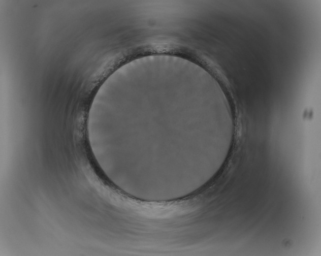 X0000111520018200908111213