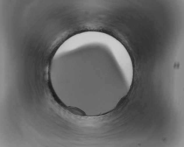 X0000111520019200908111213