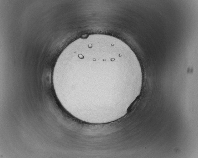 X0000111520021200908111213
