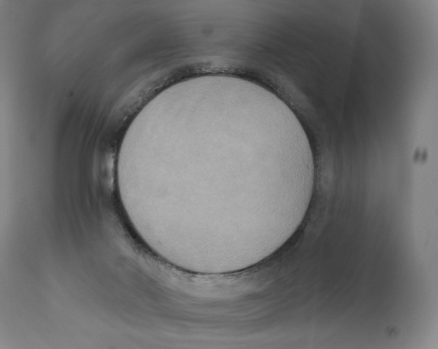 X0000111520022200908111213