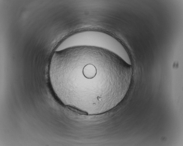X0000111520023200908111213