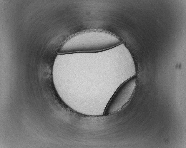 X0000111520025200908111213