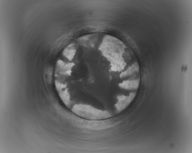 X0000111520026200908111213