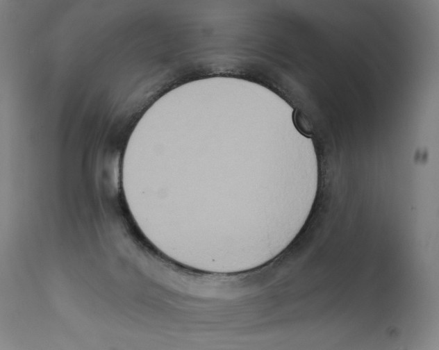 X0000111520028200908111213
