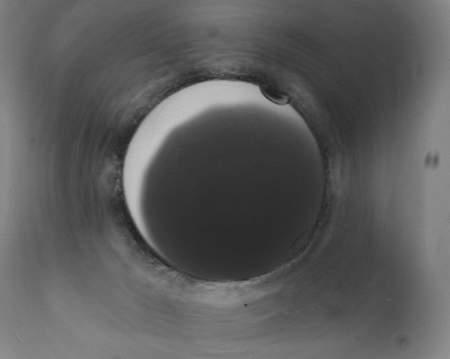 X0000111520029200908111213